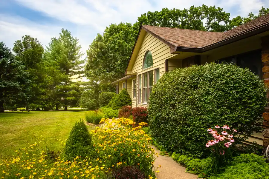 Reliable Tree Service Company