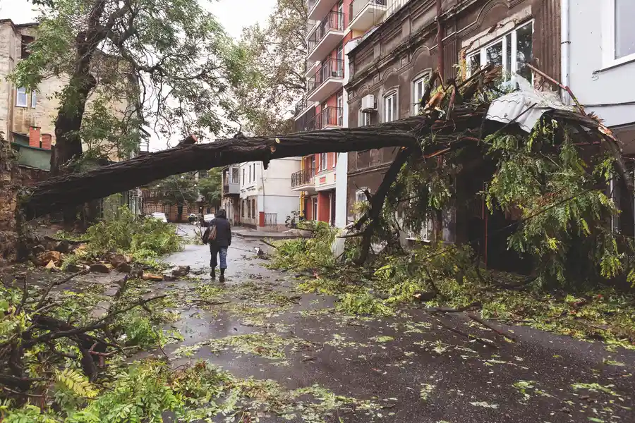Storm Damage Response