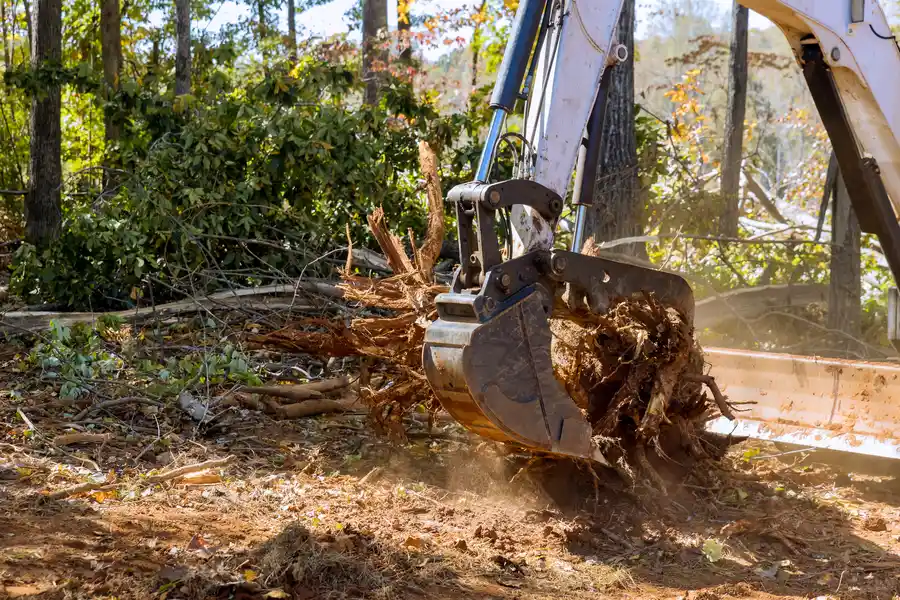 Stump Removal